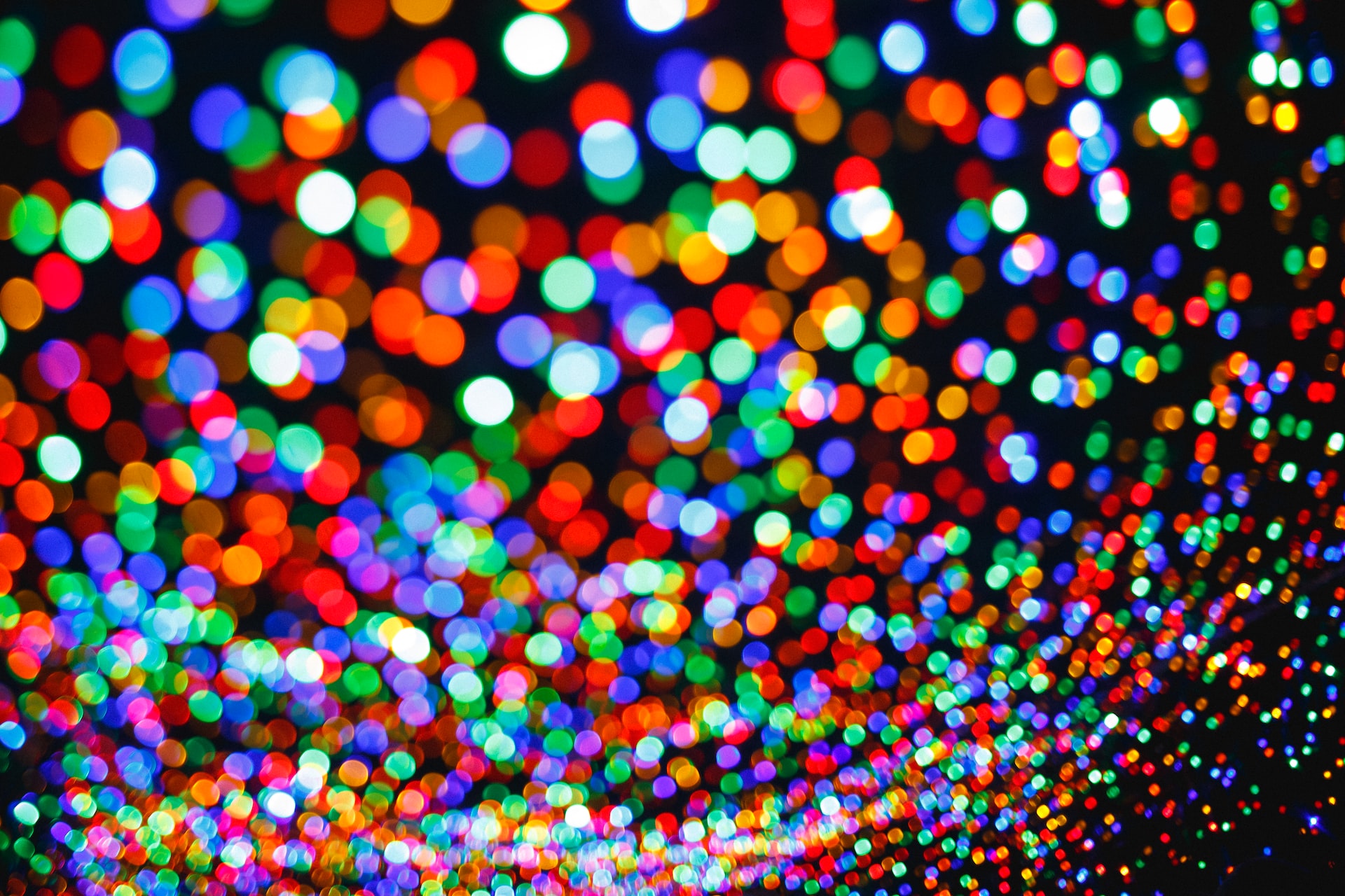 Wave Hello to Glowing Critters at the 2022 Garden of Lights